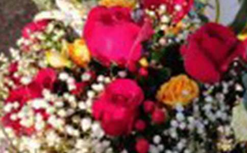 õ�幫���cõ�廨����