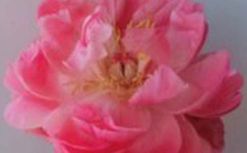 ��õ�廨������600�֣�ͨ��111ƪ��