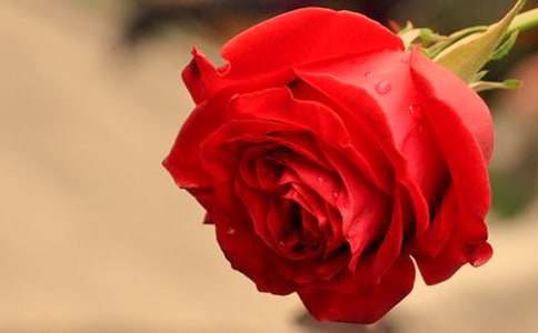 ���᡿õ�������