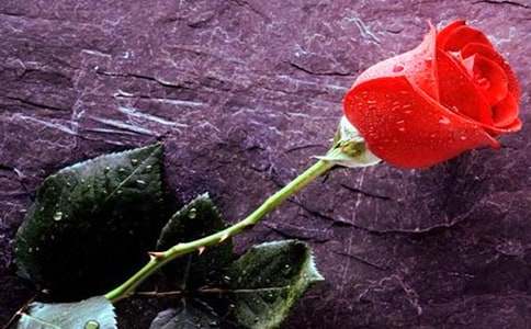 ���Põ����������300��3ƪ