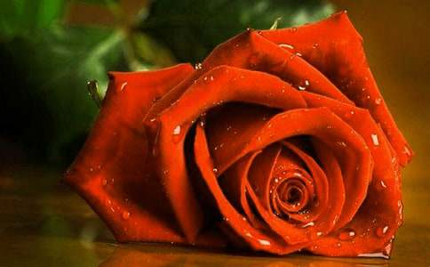 õ�廨�^����ӛ6ƪ