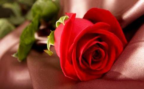 ���Nõ�廨���Z