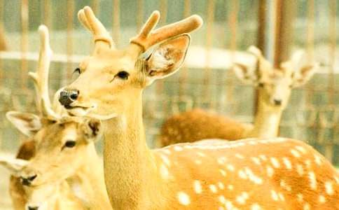 ÷��¹ˮ��Ư����