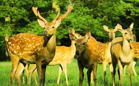 ���x÷��¹ͯԒ���ģ�ͨ��25ƪ��