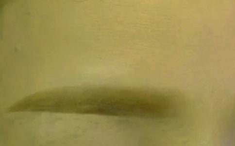 �茑üë�ľ�������Щ