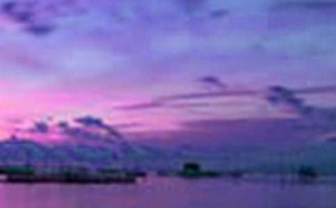 �����е���������