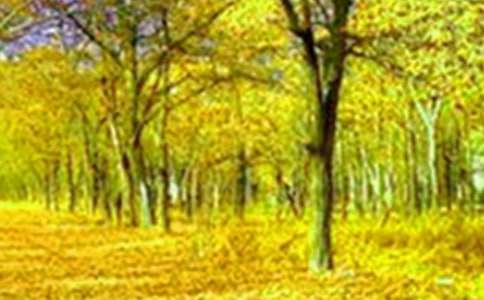 ��̶�ٲ�����������