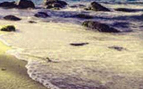 �茑��������������