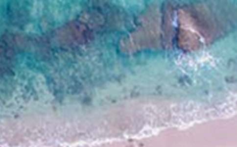 �ݏ��c������800�����ģ�ͨ��6ƪ��