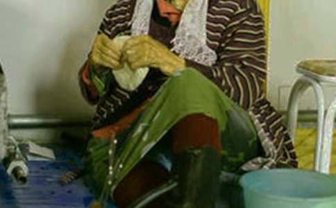 蒙古族的生活習性優秀作文