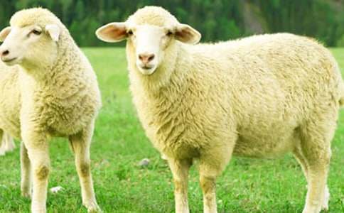 �w����յľd��ͯԒ���£����x10����