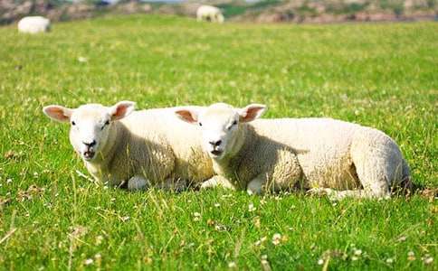 ���Ǻ�С�d���x�������