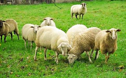 �d���׷������400��