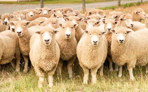 ���Ӻ;d��Ԣ�Թ���