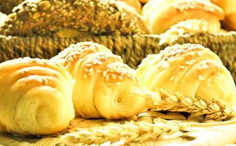 都是面包惹的禍400字作文