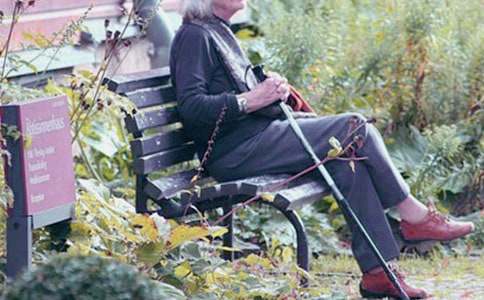 �����������600��