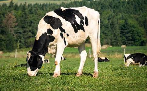 �m������������ţ��