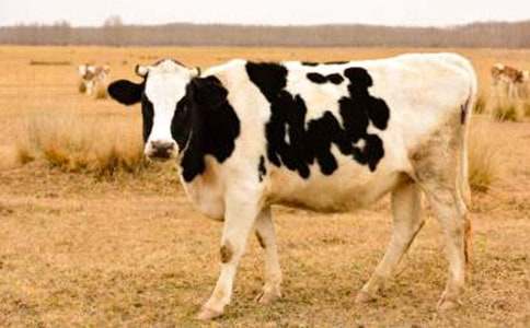 �P����ţ����300�֣�ͨ��18ƪ��