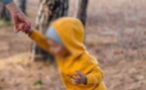 �к��͹����x����