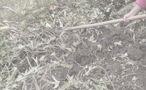 ��һ�θ��r�����ģ����x13ƪ��