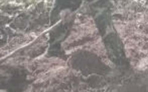 ��һ�θ��r�����ġ����T��