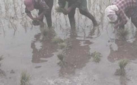 ��һ�θ��r�����ģ����x25ƪ��