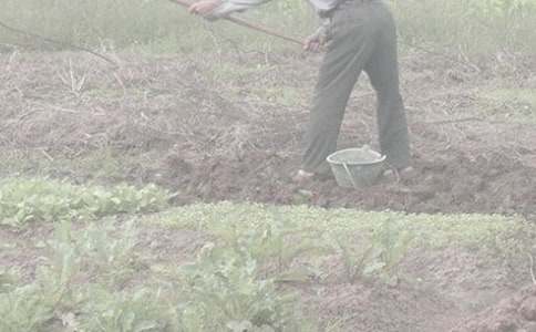 �W�r������ģ�ͨ��30ƪ��