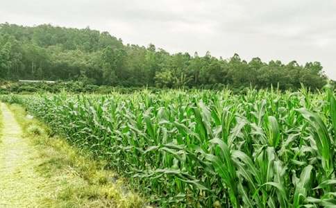 ���l�k���ˡ��r�Ҙ���_750��