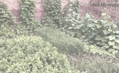 �r����N�����a��ͬ13ƪ