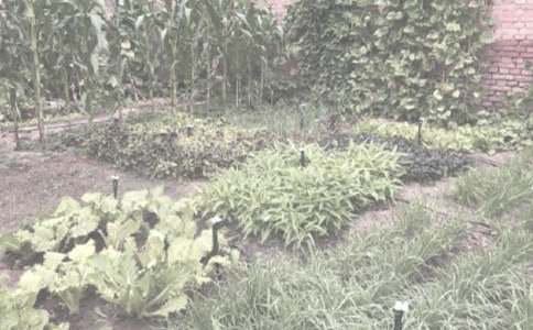 �r����N���I�u��ͬ8ƪ