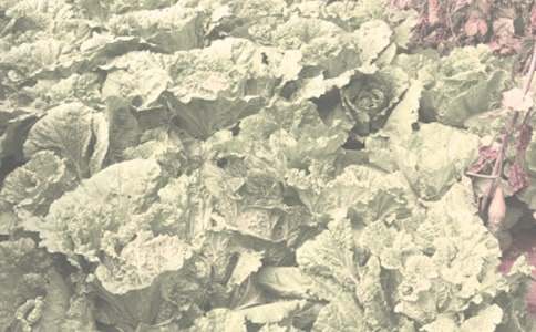 �r����N���A�s���a��ͬ��ͨ��