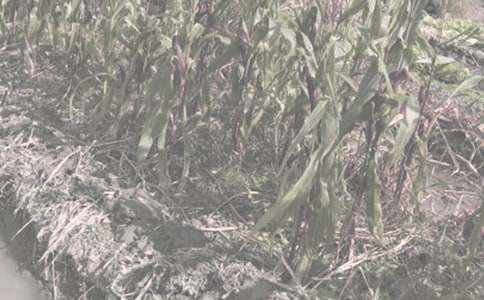 �r����N��ُ�N��ͬ