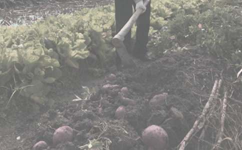 �����r������~�Z