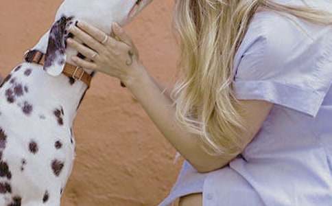 Ů�Ե���������-���꼉