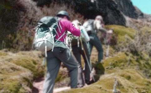 ��ɽ��������С�W���ļ��\10ƪ