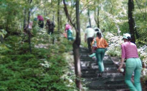 ��ζ��ɽ·����