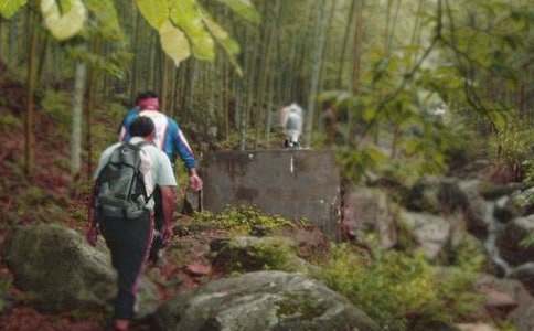 ��ɽ��ʾ����