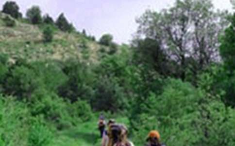 С�W����ɽ�Ľ��v����