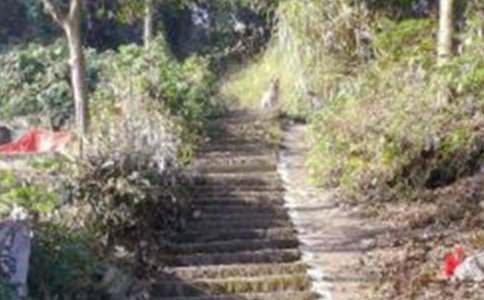 ����ɽ�����ĺϼ�11ƪ