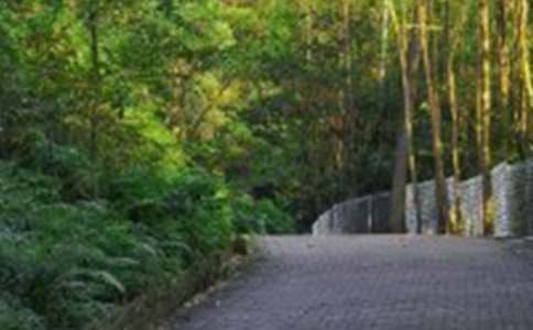 ��ɽ�Ľ��v_600��