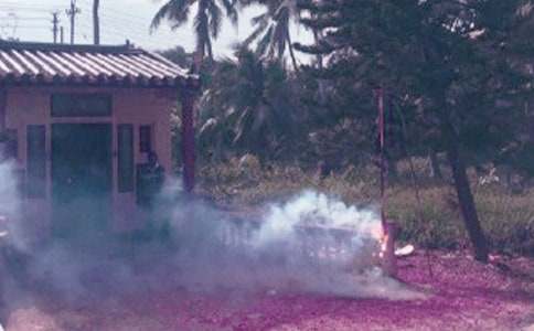 炮竹聲中辭舊歲,梅花香里迎新春作文