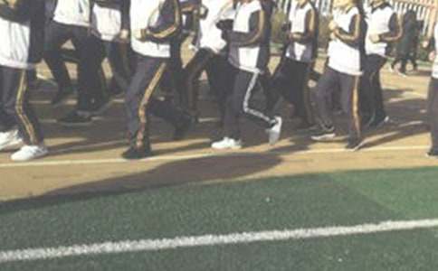 �ܲ�����600�֣����x19ƪ��