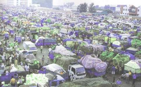 ���l�ĺ�ͬ