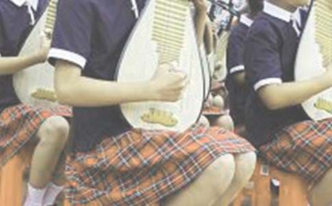 未來的琵琶演奏家優秀作文350字