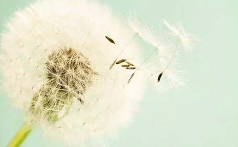 �ѹ�Ӣ����������