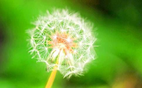 �����ѹ�Ӣ����