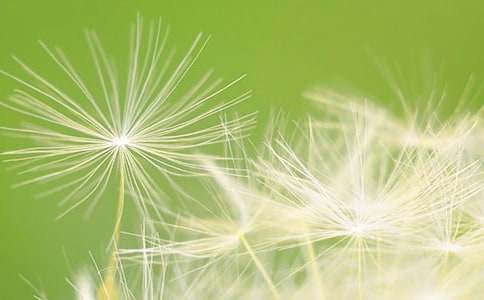 �ѹ�Ӣ��־���ģ�ͨ��33ƪ��