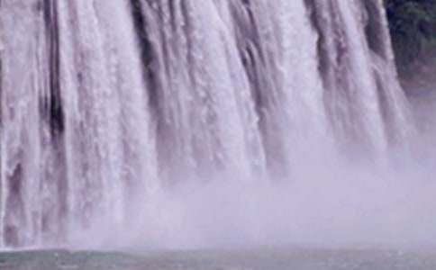 �F��S�����ٲ�����