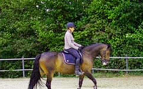 �P�ڃ��ɹ��T�R����