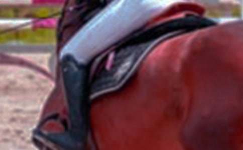 �ڃ��ɹ��T�R������